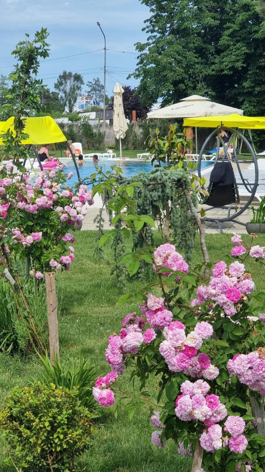 Hotel Iulia Resort Vénus Extérieur photo